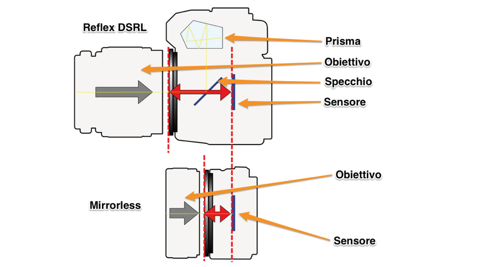 anteprima blog 11 2 20 2