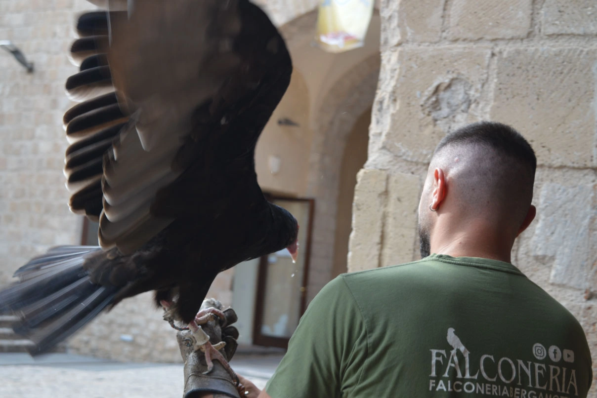 caso-studio-corte-di-fieramosca_gallery-3_mw-communication